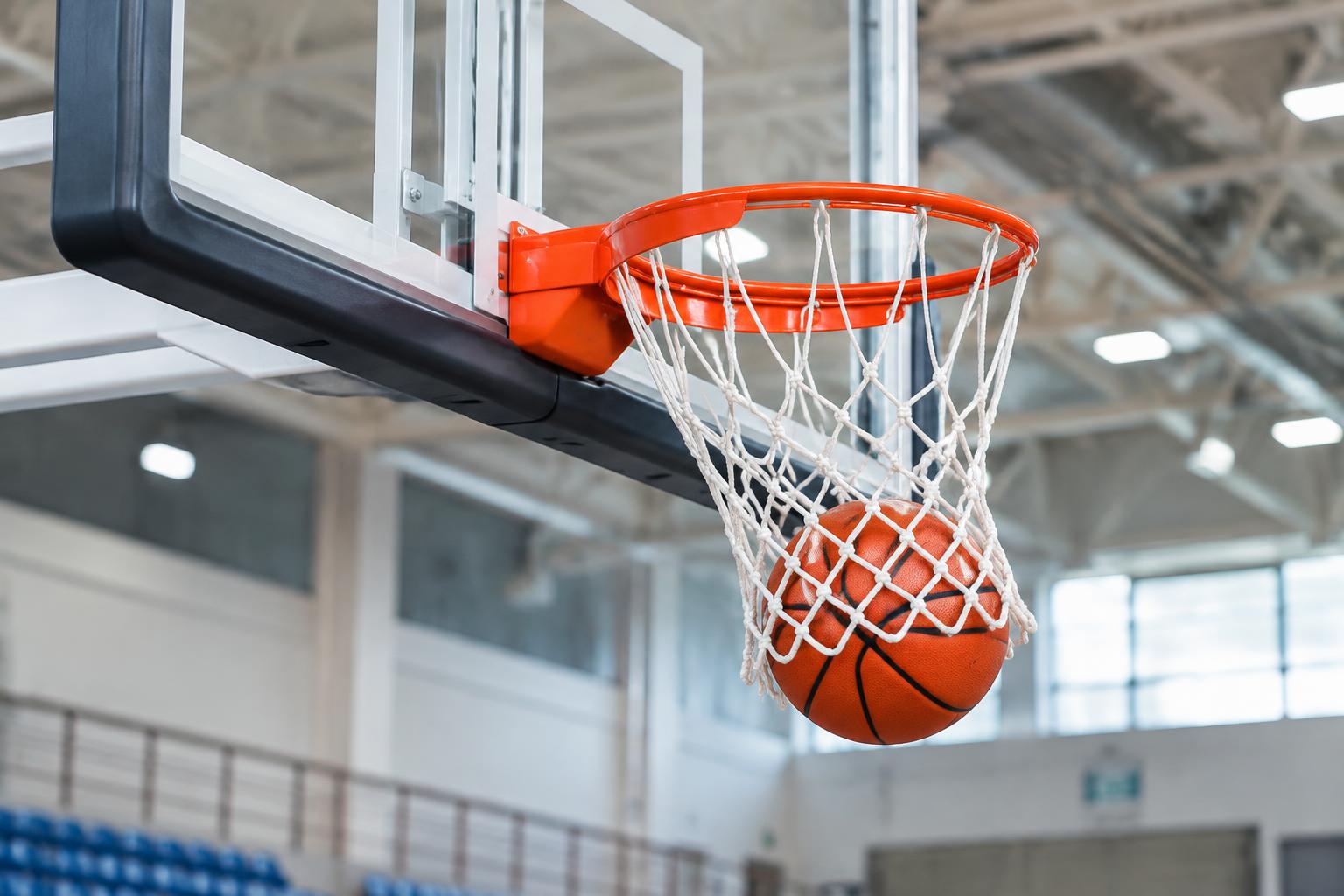 Basketbol Pota Filesi uygulaması